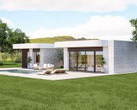 Nouvelle construction - Villa - Pinoso - Lel