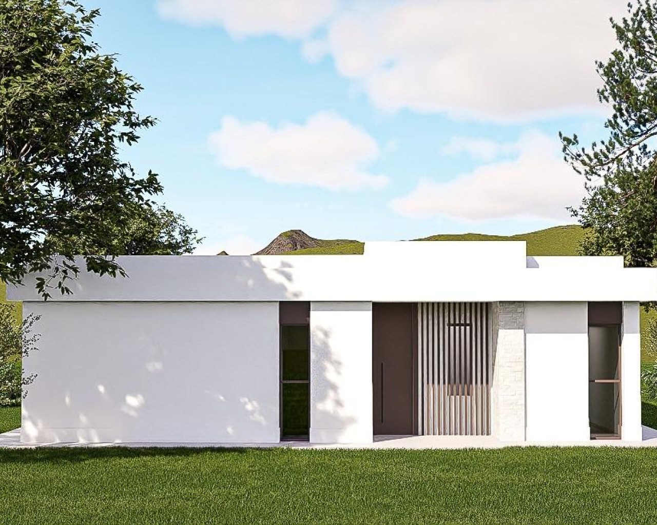 Nouvelle construction - Villa - Pinoso - Lel