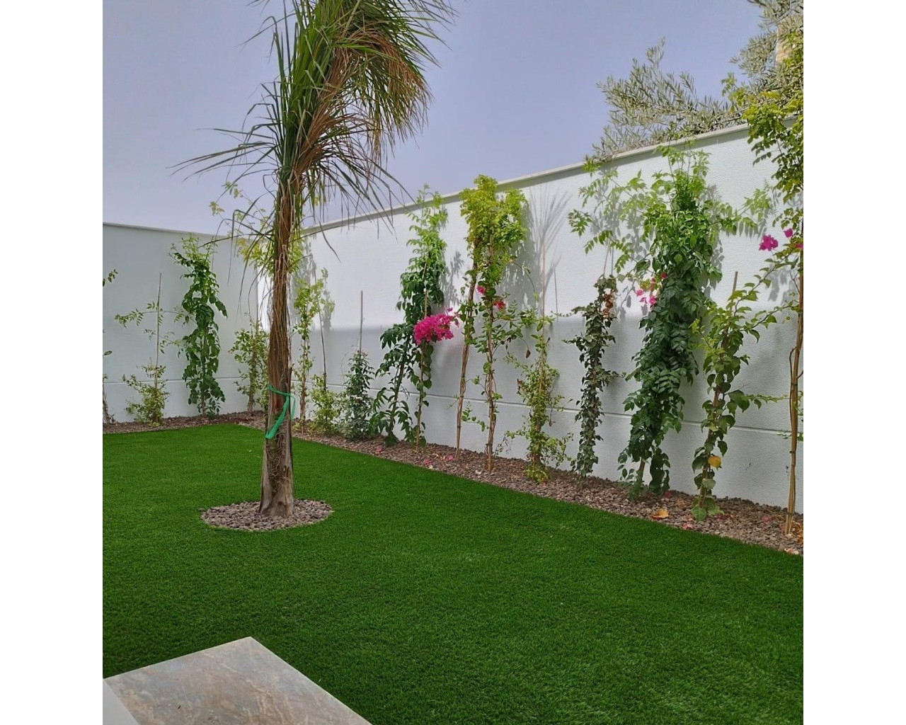 Nouvelle construction - Villa - San Javier - Parque del doce