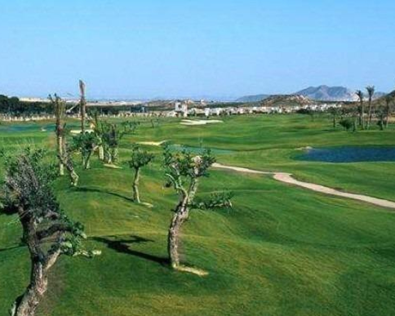 Nouvelle construction - Villa - Sucina - Peraleja Golf