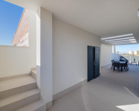 Nouvelle construction - Villa - Torrevieja - Sector 25