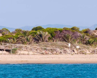 Nueva construcción  - Apartamento - Guardamar del Segura - Pueblo