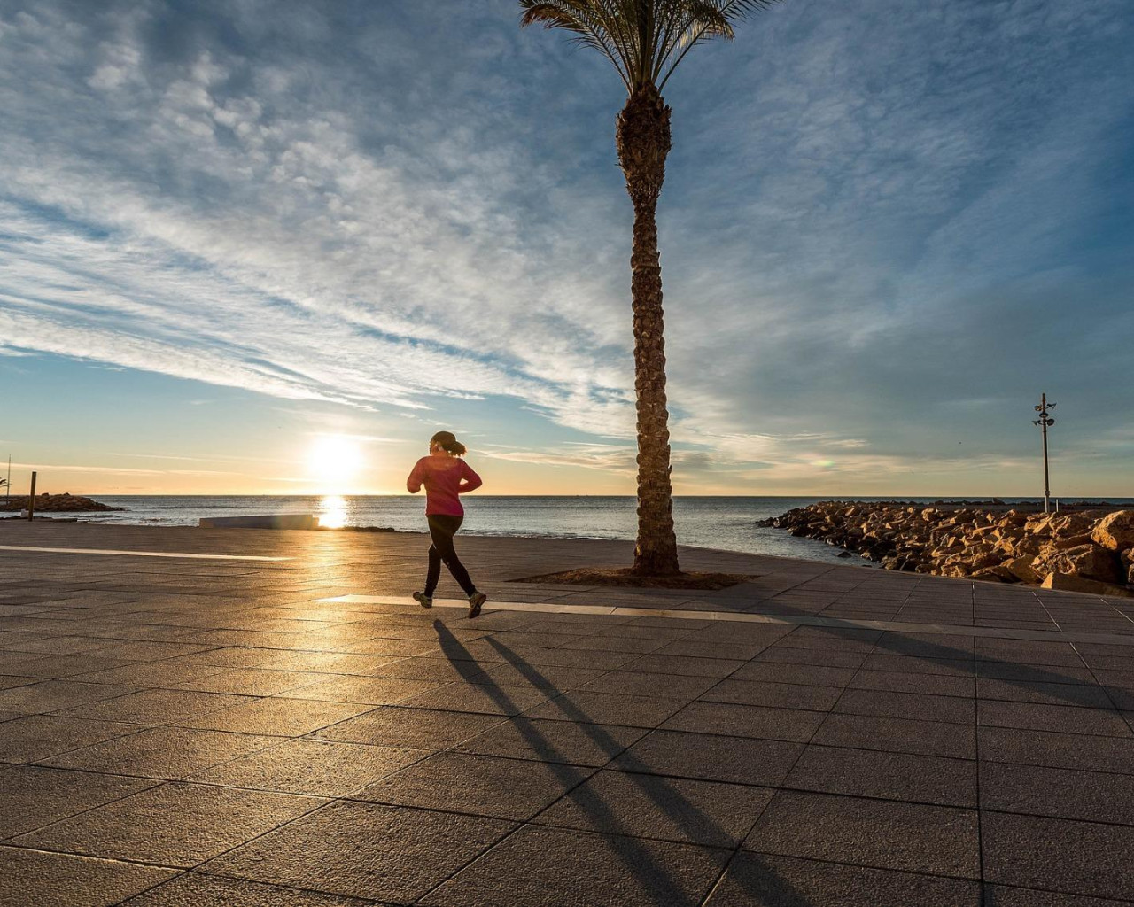 Nueva construcción  - Atico - Torrevieja - Torreblanca