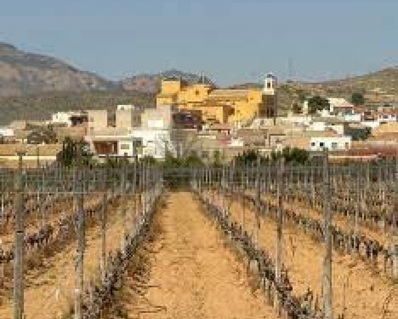 Nueva construcción  - Bungalow - Hondón de las Nieves - Canalosa