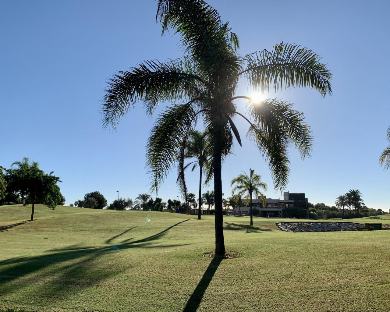 Nueva construcción  - Bungalow - San Javier - Roda Golf