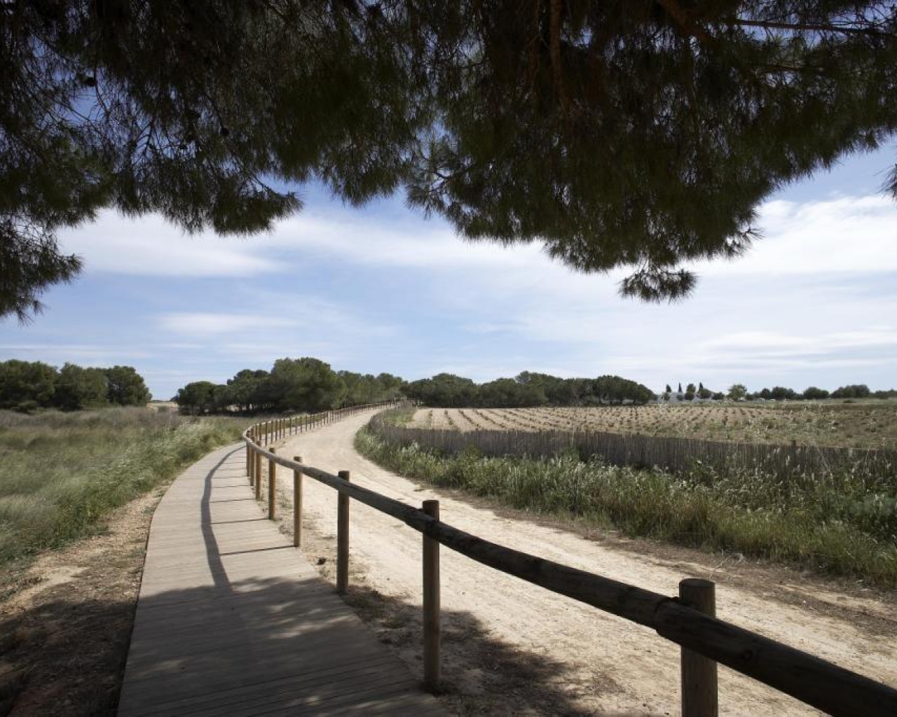 Nueva construcción  - Bungalow - Torrevieja - Aguas Nuevas