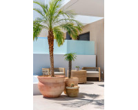 Nueva construcción  - Chalet - Dolores - Sector 3