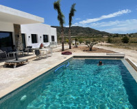 Nueva construcción  - Chalet - Pinoso - Casas Pastor
