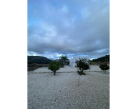 Nueva construcción  - Chalet - Pinoso - Casas Pastor