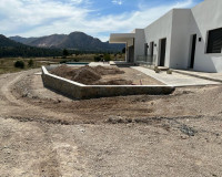 Nueva construcción  - Chalet - Pinoso - Casas Pastor