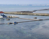 Nueva construcción  - Chalet - San Pedro del Pinatar - CENTRO