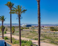 Nueva construcción  - Chalet - Torrevieja - Sector 25