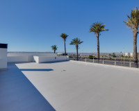 Nueva construcción  - Chalet - Torrevieja - Sector 25