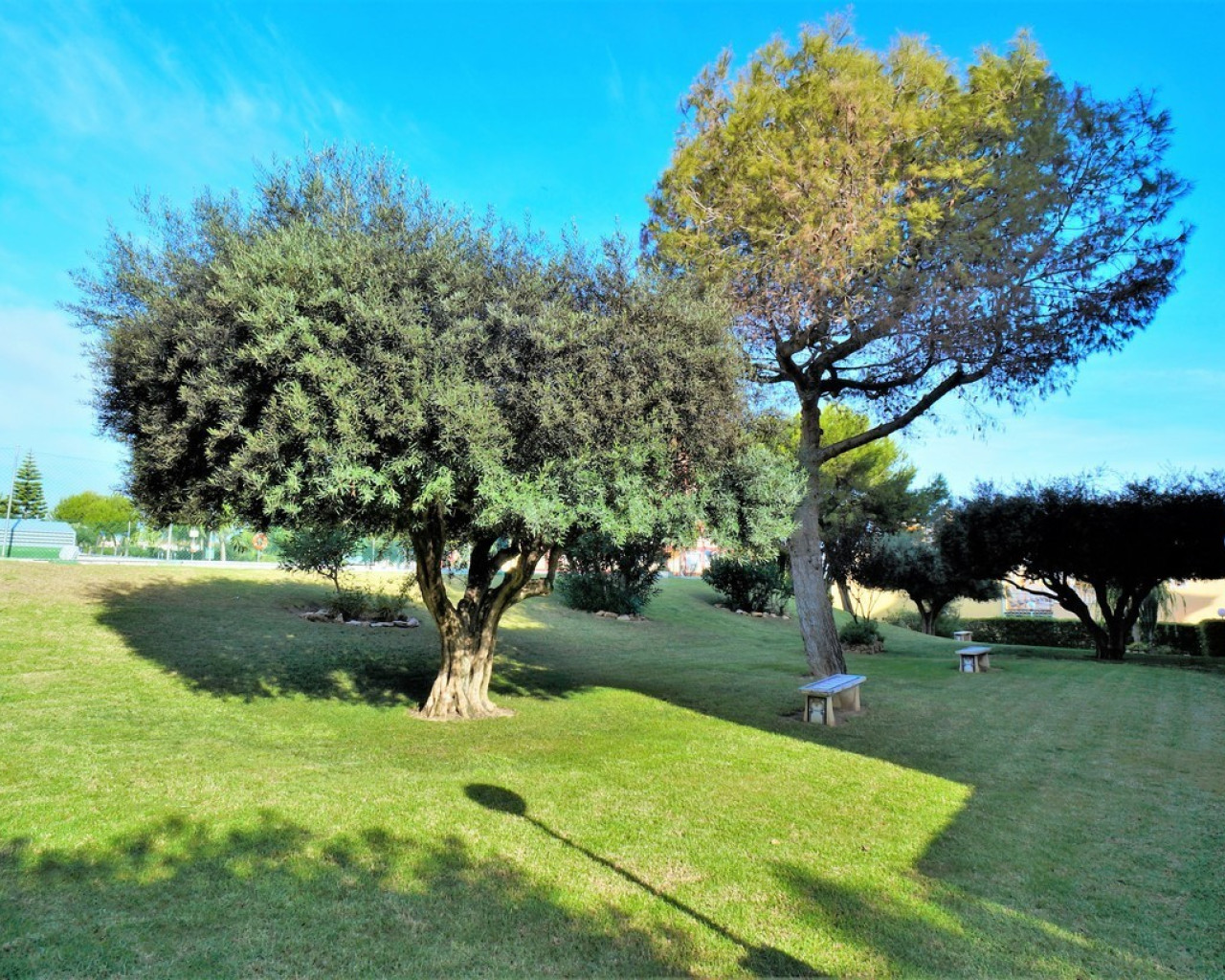 Resale - Apartment - Torrevieja - Torreblanca