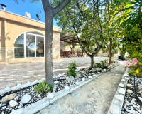 Resale - Finca / Country Property - Crevillente