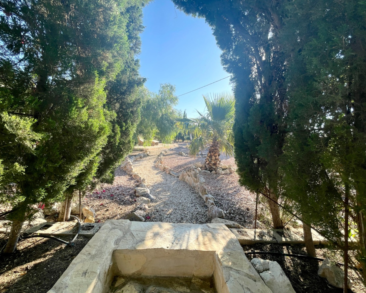 Resale - Finca / Country Property - Crevillente