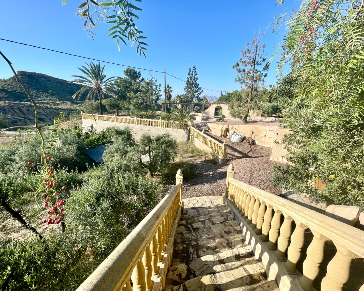 Resale - Finca / Country Property - Crevillente