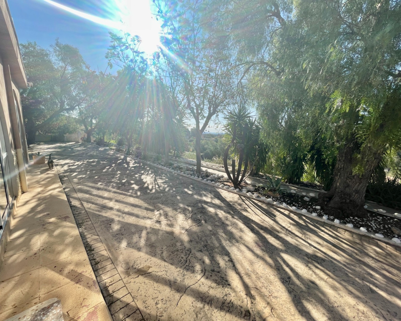 Resale - Finca / Country Property - Crevillente