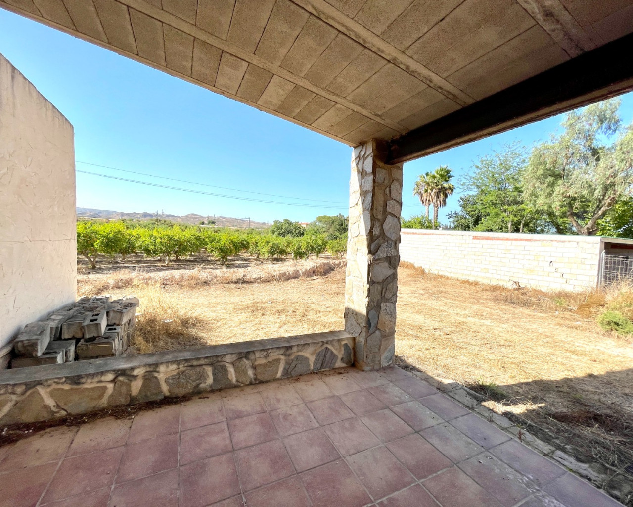Resale - Finca / Country Property - Elche - Matola