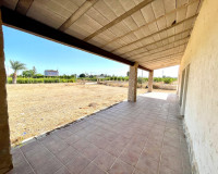 Resale - Finca / Country Property - Elche - Matola