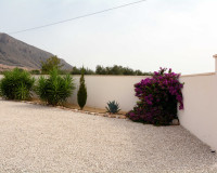 Resale - Finca / Country Property - Macisvenda
