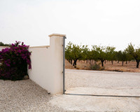 Resale - Finca / Country Property - Macisvenda