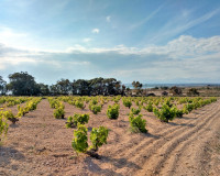 Resale - Lägenhet - Torrevieja - Torreblanca