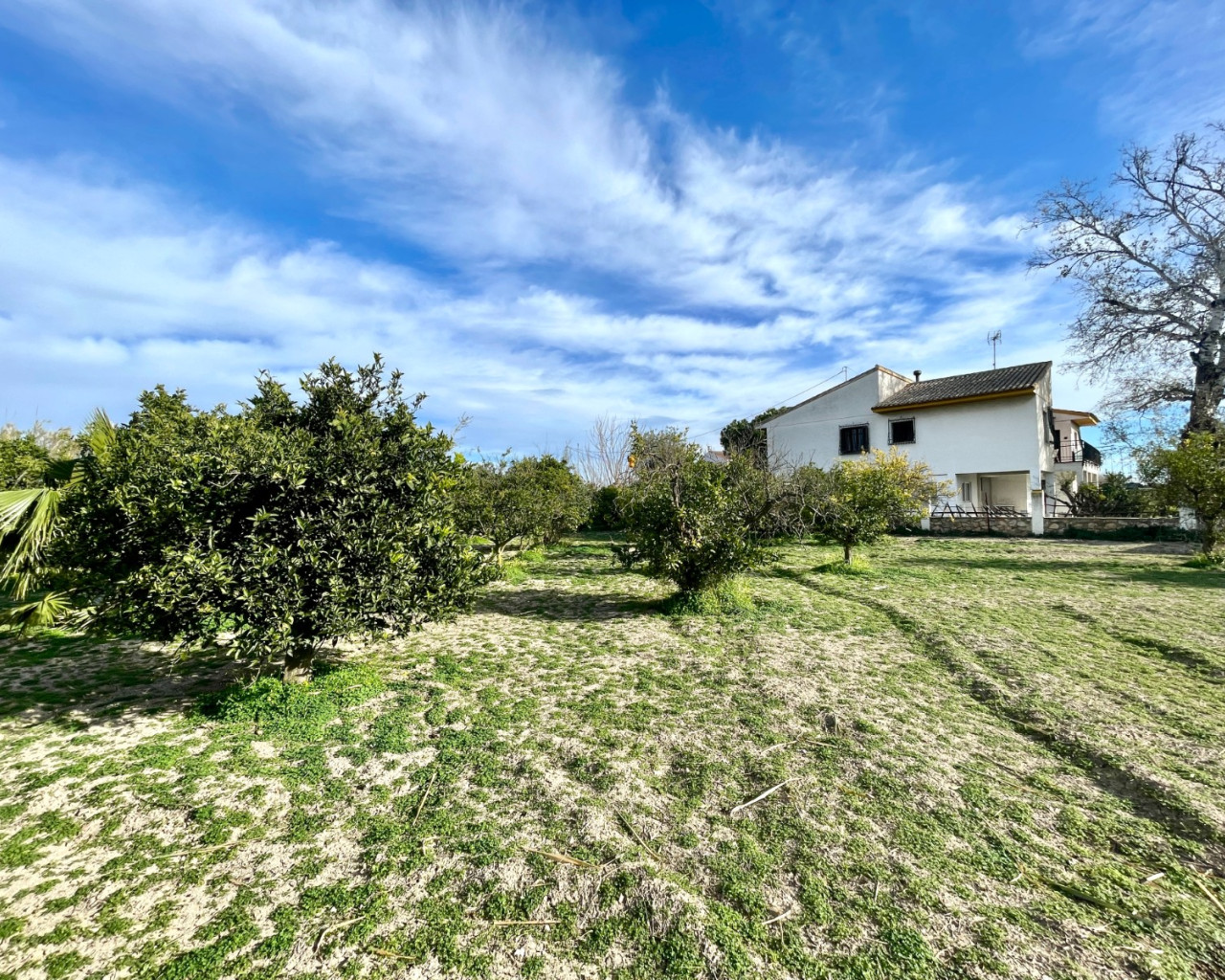 Resale - Villa - Benejuzar - Comunidad Valenciana