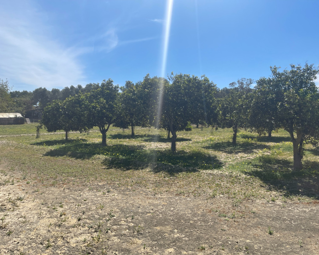 Resale - Villa - Guardamar del Segura - Valencian Community