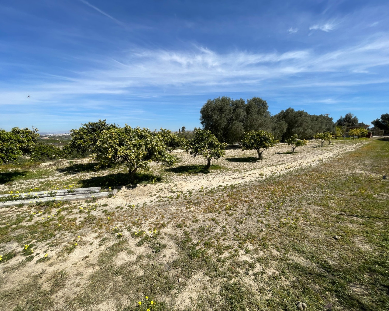 Resale - Villa - Guardamar del Segura - Valencian Community