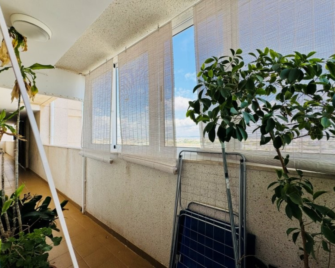 Revente - Appartement - Torrevieja - Aguas nuevas 1