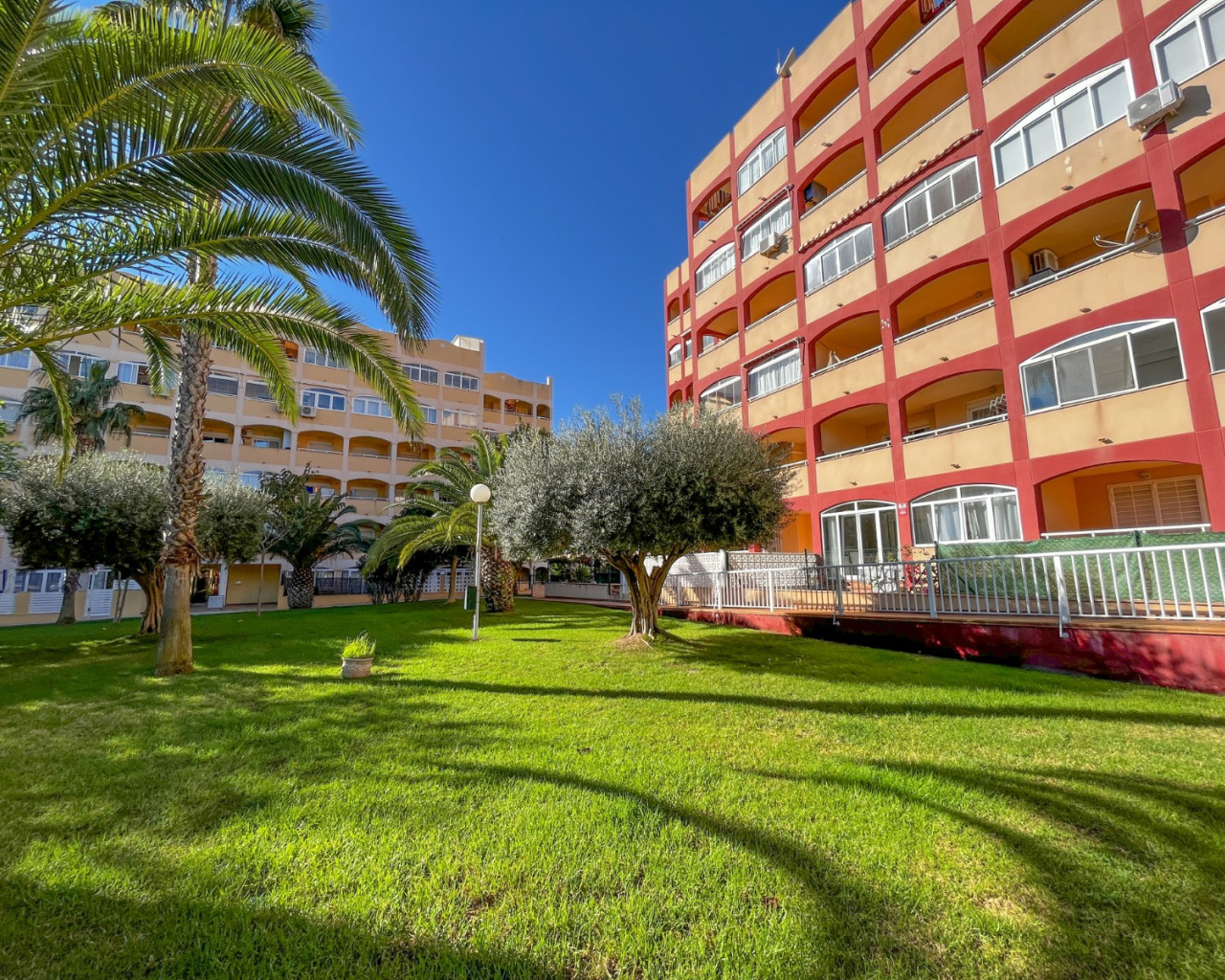 Revente - Appartement - Torrevieja