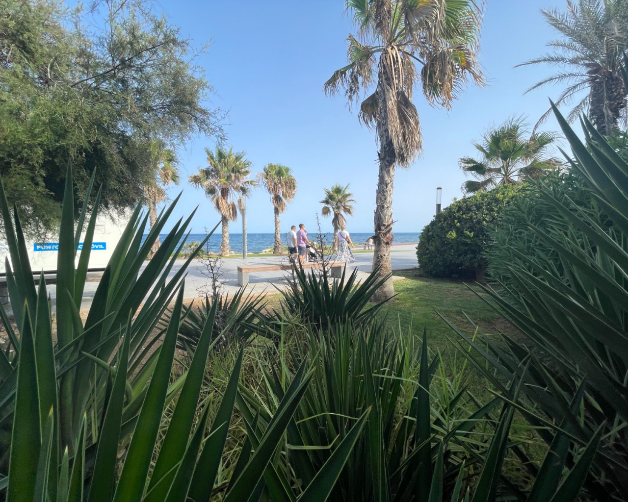 Revente - Commercieel - Torrevieia - Comunidad Valenciana