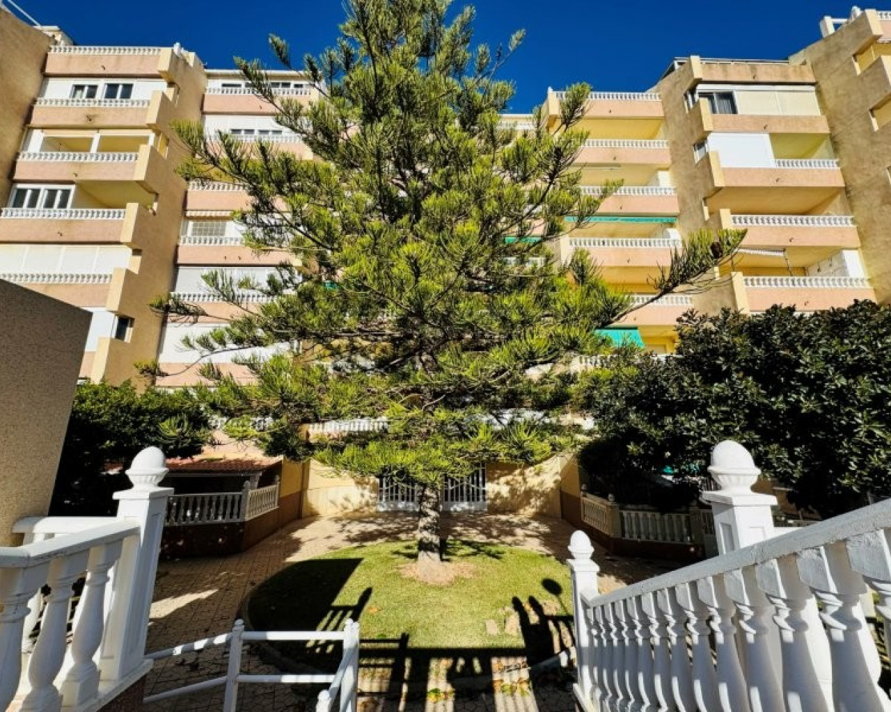 Revente - Penthouse - La Mata - Alanis