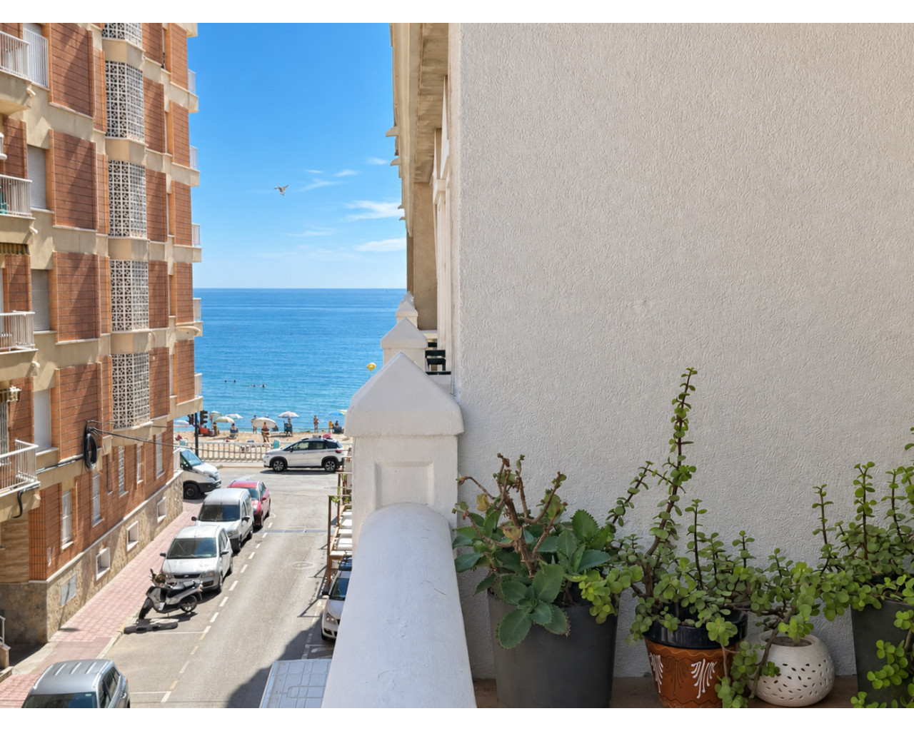 Revente - Studio apartment - Torrevieja - Playa de los Locos
