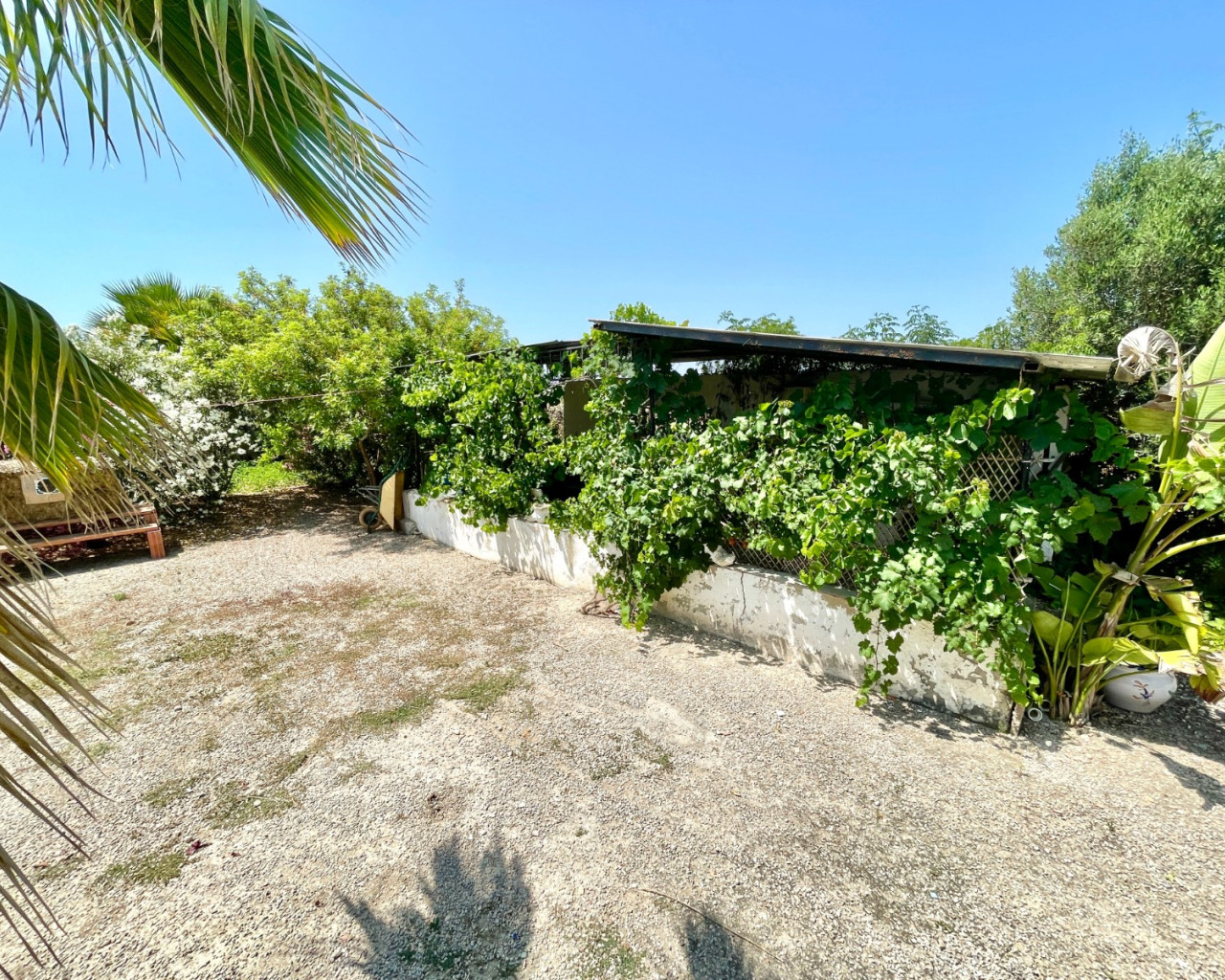 Revente - Villa - Daya Nueva