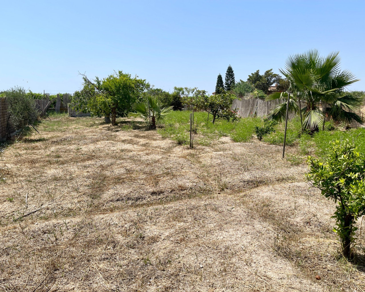 Revente - Villa - Daya Nueva