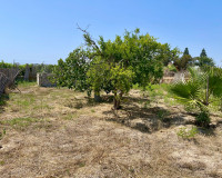 Revente - Villa - Daya Nueva