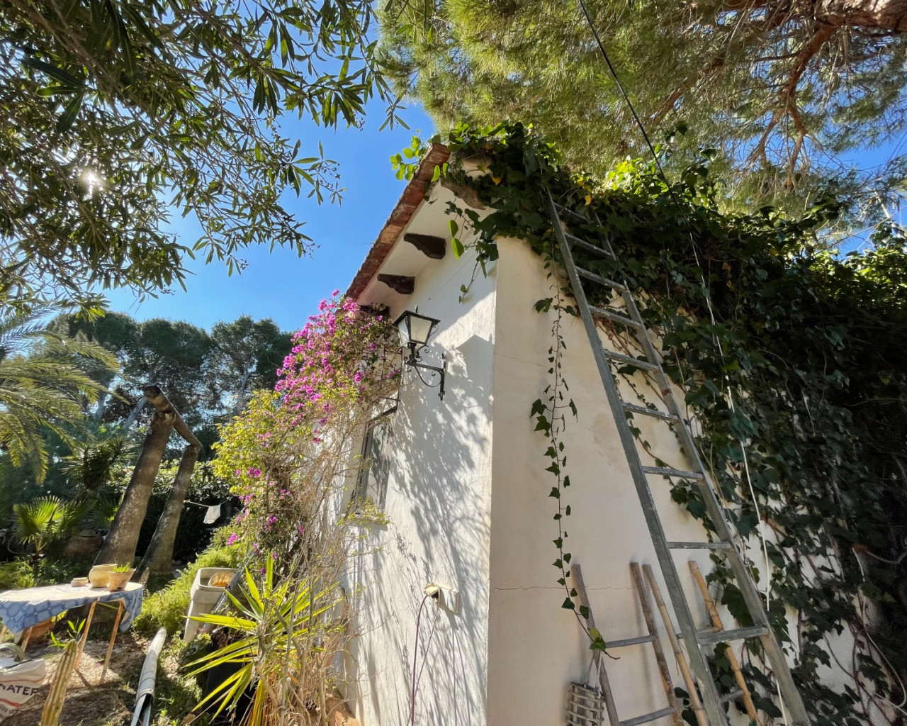 Revente - Villa - Orihuela Costa - Lomas De Cabo Roig