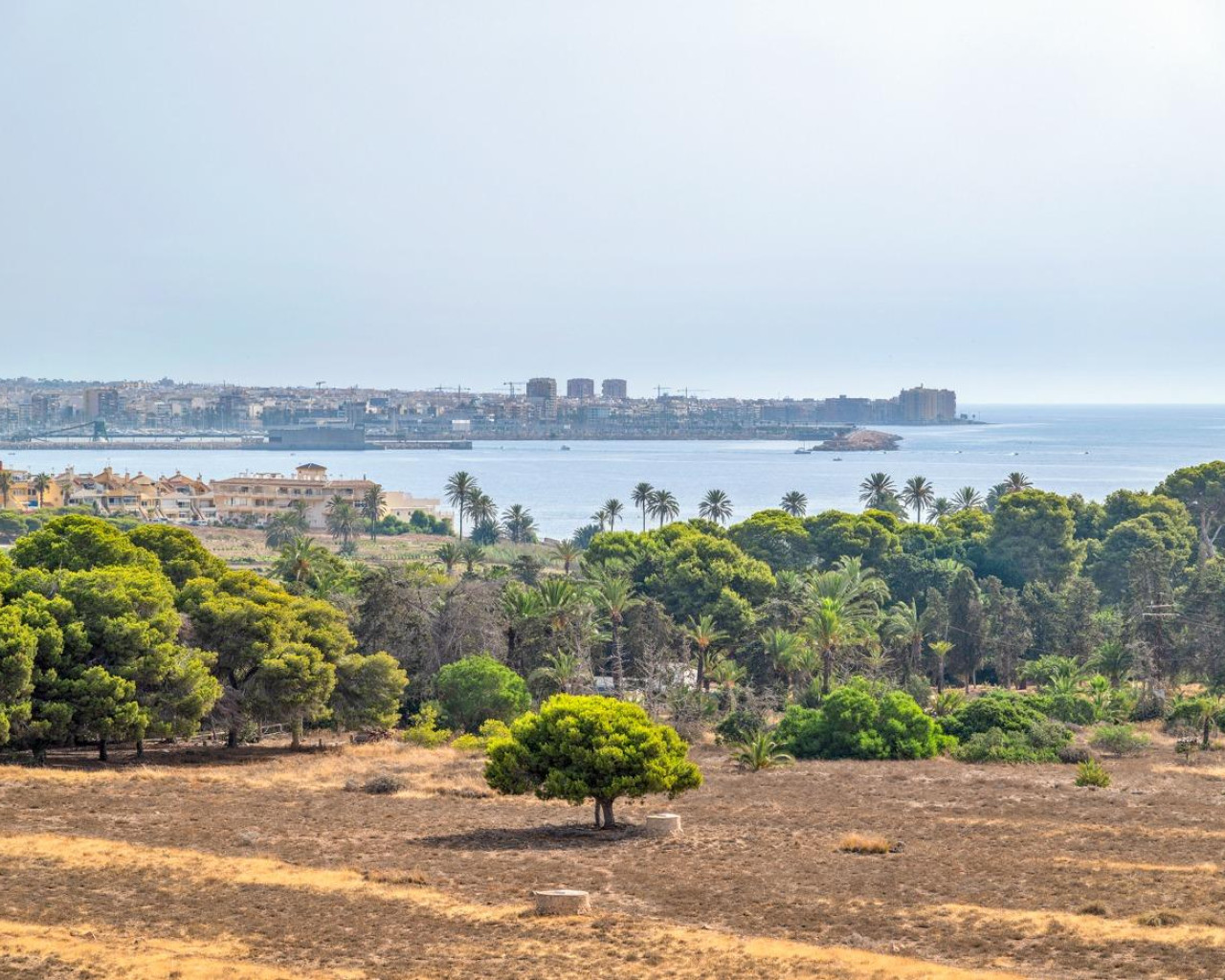 Venta - Apartamento - Torrevieja - Punta prima