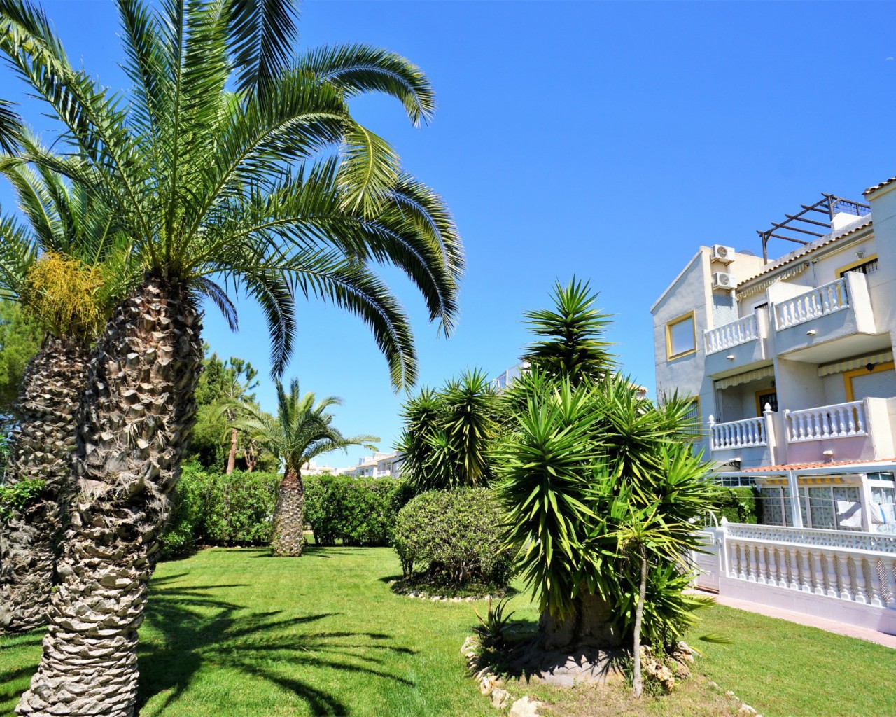 Venta - Apartamento - Torrevieja - Torreblanca