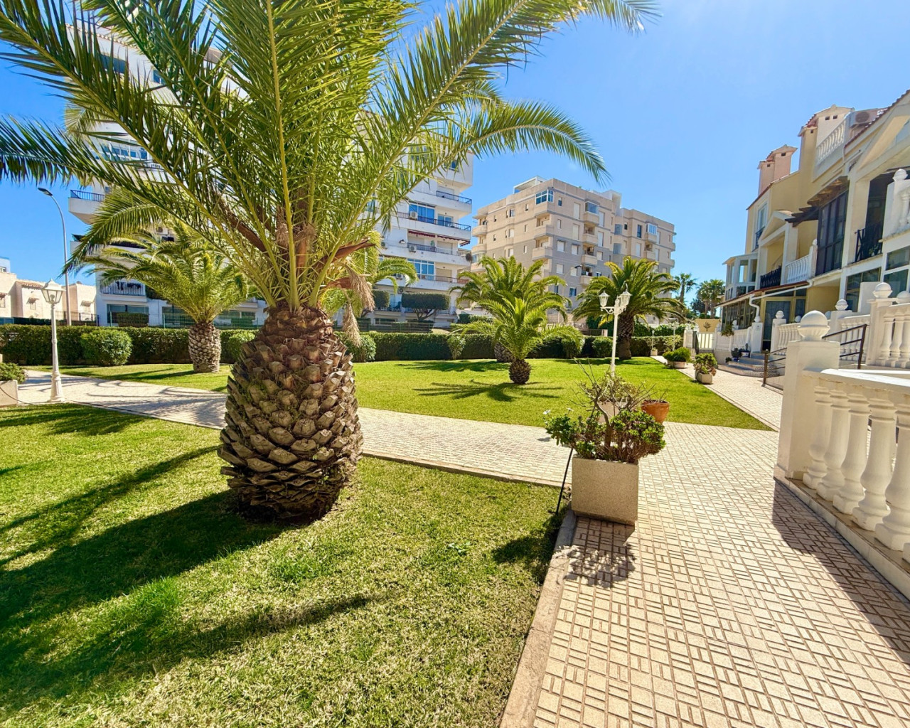 Venta - Apartamento - Torrevieja - Torreblanca