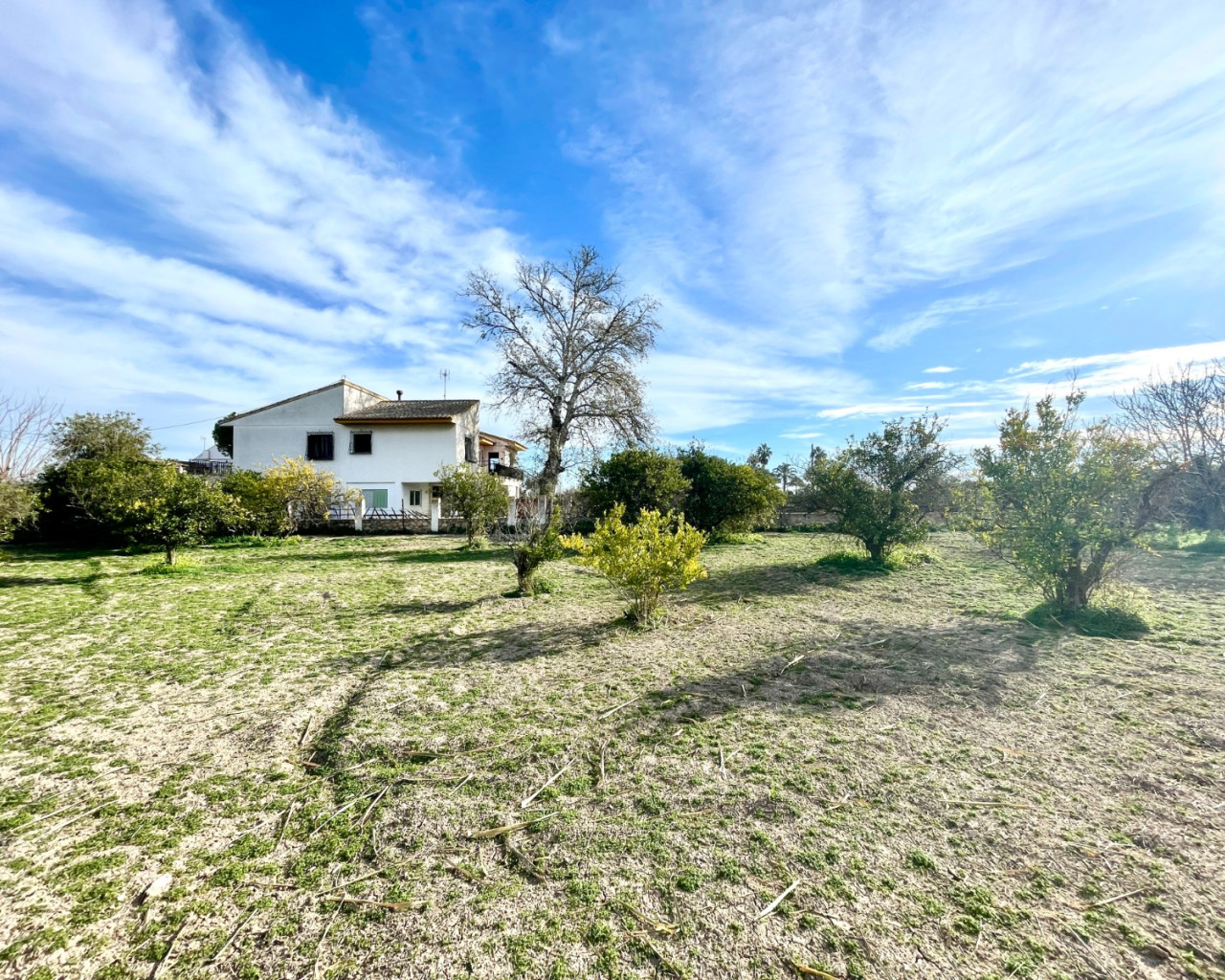 Venta - Chalet - Benejuzar - Comunidad Valenciana