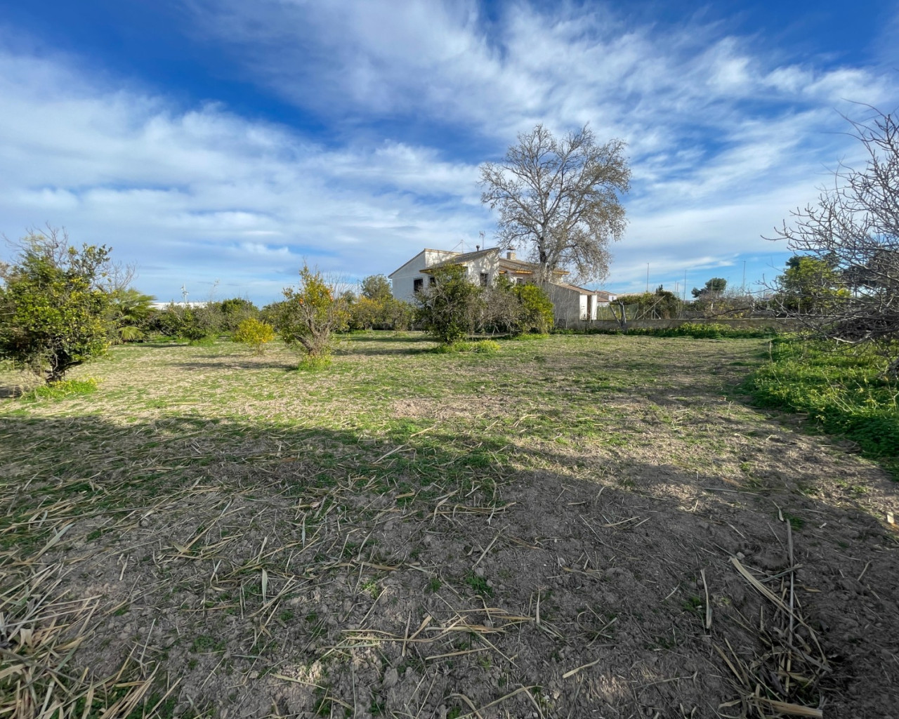 Venta - Chalet - Benejuzar - Comunidad Valenciana