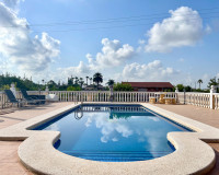 Venta - Chalet - Catral