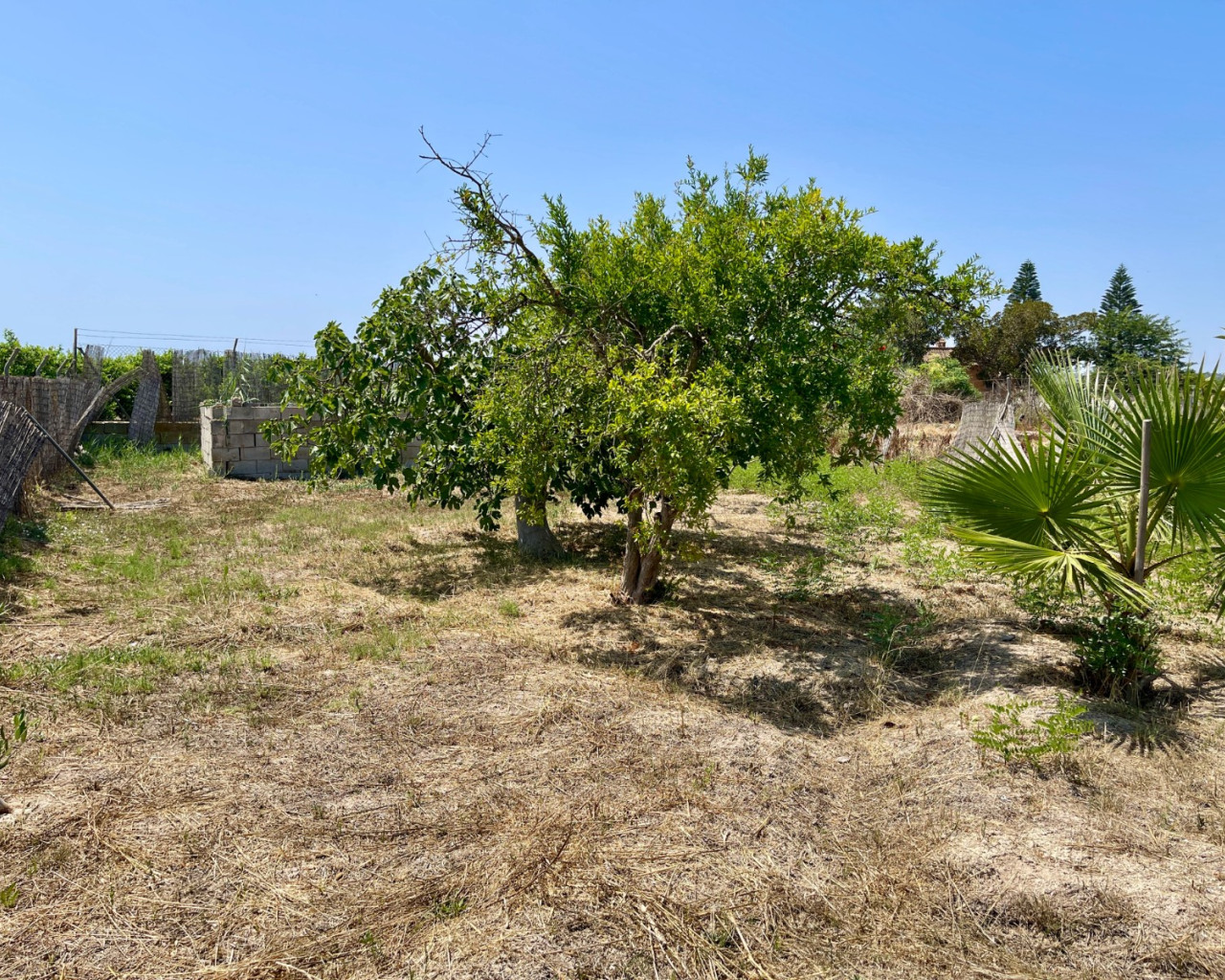 Venta - Chalet - Daya Nueva