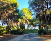 Venta - Chalet - Dehesa de campoamor - Campoamor