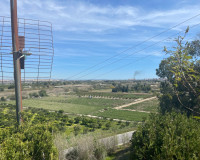 Venta - Chalet - Guardamar del Segura - Valencian Community