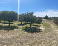 Venta - Chalet - Guardamar del Segura - Valencian Community