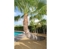 Venta - Chalet - Rojales - Ciudad Quesada